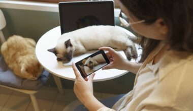 Filmen für die Wissenschaft: Warum die Uni Bochum um Katzenvideos bittet