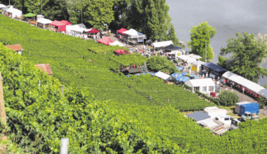Am 9. und 10. August feiern die Weinbauern Mühlhausen die 15. Stuttgarter Steillagentage am Neckar mit Hocketse, Livemusik, Themenwanderungen, regionalen Weinen und abendlicher Beleuchtung der Weinberge.