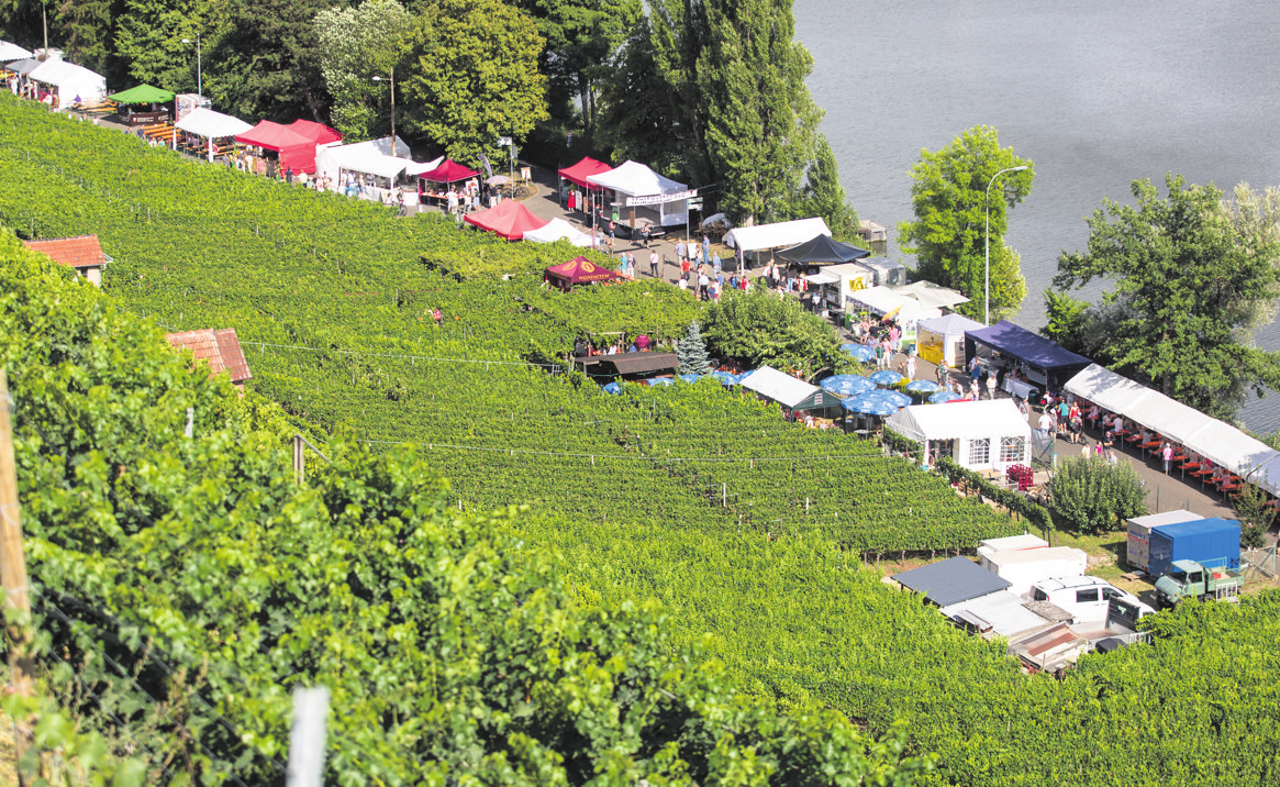 Am 9. und 10. August feiern die Weinbauern Mühlhausen die 15. Stuttgarter Steillagentage am Neckar mit Hocketse, Livemusik, Themenwanderungen, regionalen Weinen und abendlicher Beleuchtung der Weinberge.