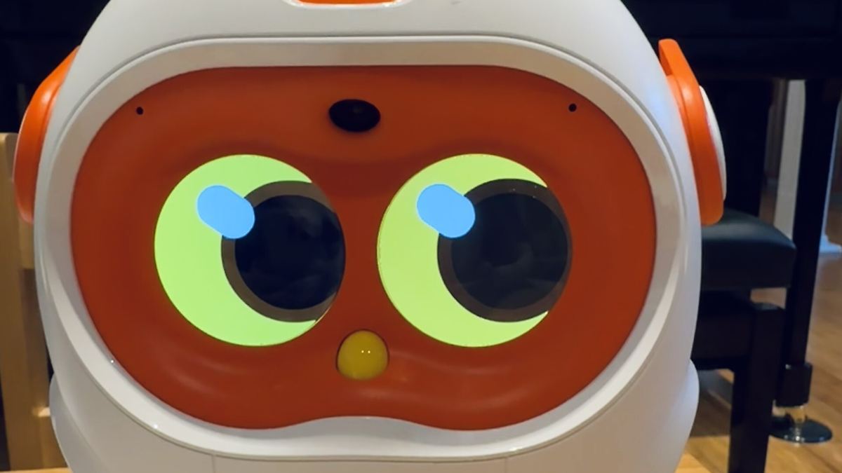 "Mein kleiner Bruder": Familien entwickeln emotionales Verhältnis zu Roboter