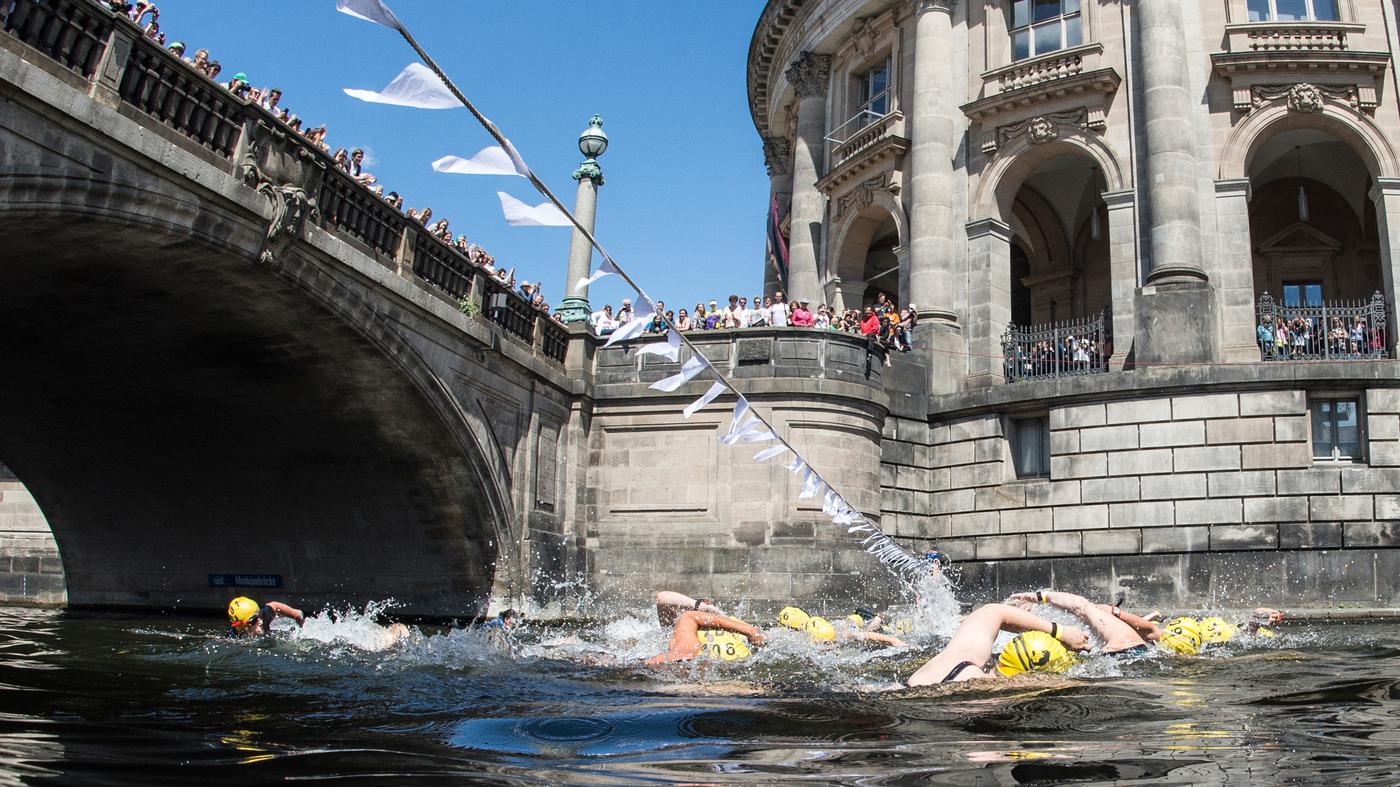 Schwimmen in der Spree wäre schön – aber nicht bei der Museumsinsel