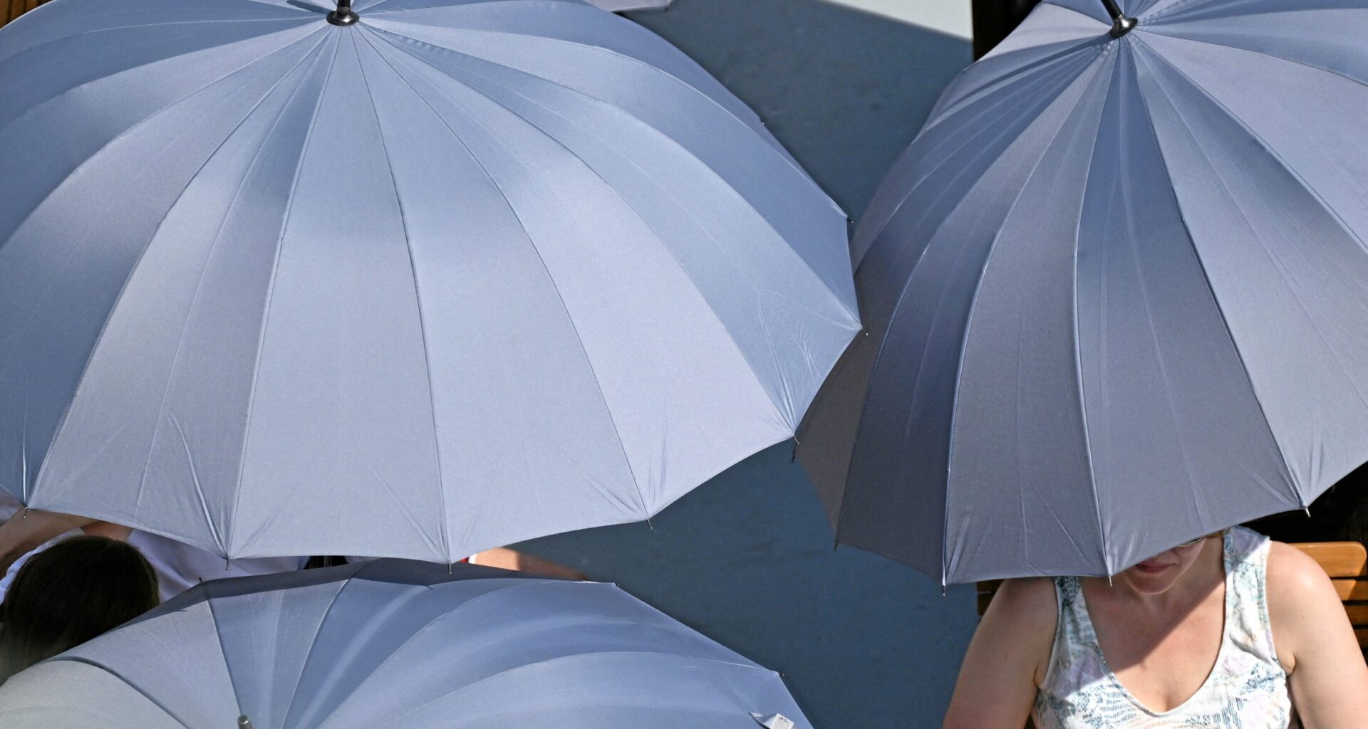 Hitzeschutz – Berlin: Ohne Grün kein Hitzeschutz