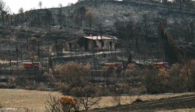 Brand in Südfrankreich: 10.08.2025, Frankreich, Jonquières: Feuerwehrfahrzeuge fahren in Jonquières in Südfrankreich an verbrannter Vegetation und einem ausgebrannten Haus vorbei. Ein großer Flächenbrand in Südfrankreich hält die Feuerwehr noch immer in Atem. Foto: Bertrand Guay/AFP/dpa +++ dpa-Bildfunk +++