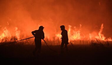Waldbrand: Spanien fordert EU-Unterstützung bei Waldbränden an