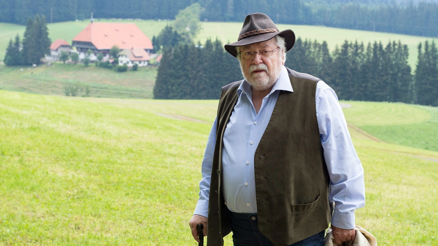 "Die Fallers": Hauptdarsteller Wolfgang Hepp verlässt Serie