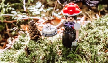 "Schwarzwald Marie" in Baiersbronn vorgestellt