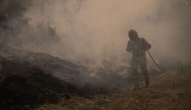 Waldbrände: Auch Portugal bittet um EU-Hilfe