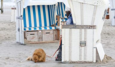 Elbvertiefung: Der tägliche Newsletter aus Hamburg: Und was macht Ihr Haustier in den Ferien?