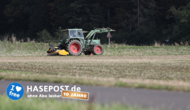 Sojaanbaufläche in Deutschland um 156,8 Prozent gestiegen