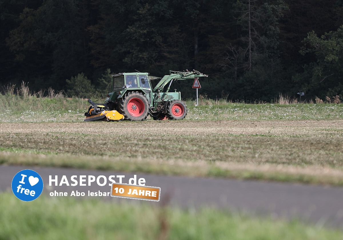 Sojaanbaufläche in Deutschland um 156,8 Prozent gestiegen