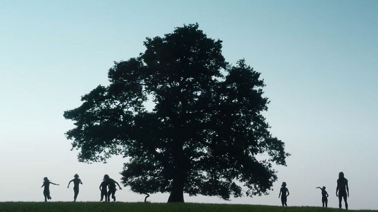 Nach "28 Years Later": Meisterregisseur Danny Boyle hat seinen nächsten Film gefunden - Kino News