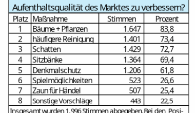 das wünschen sich die Hallenser statt einen Händel-Zaun auf ihrem Markt – Du bist Halle