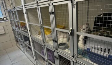 Totale Verzweiflung bei Tierschützern in NRW