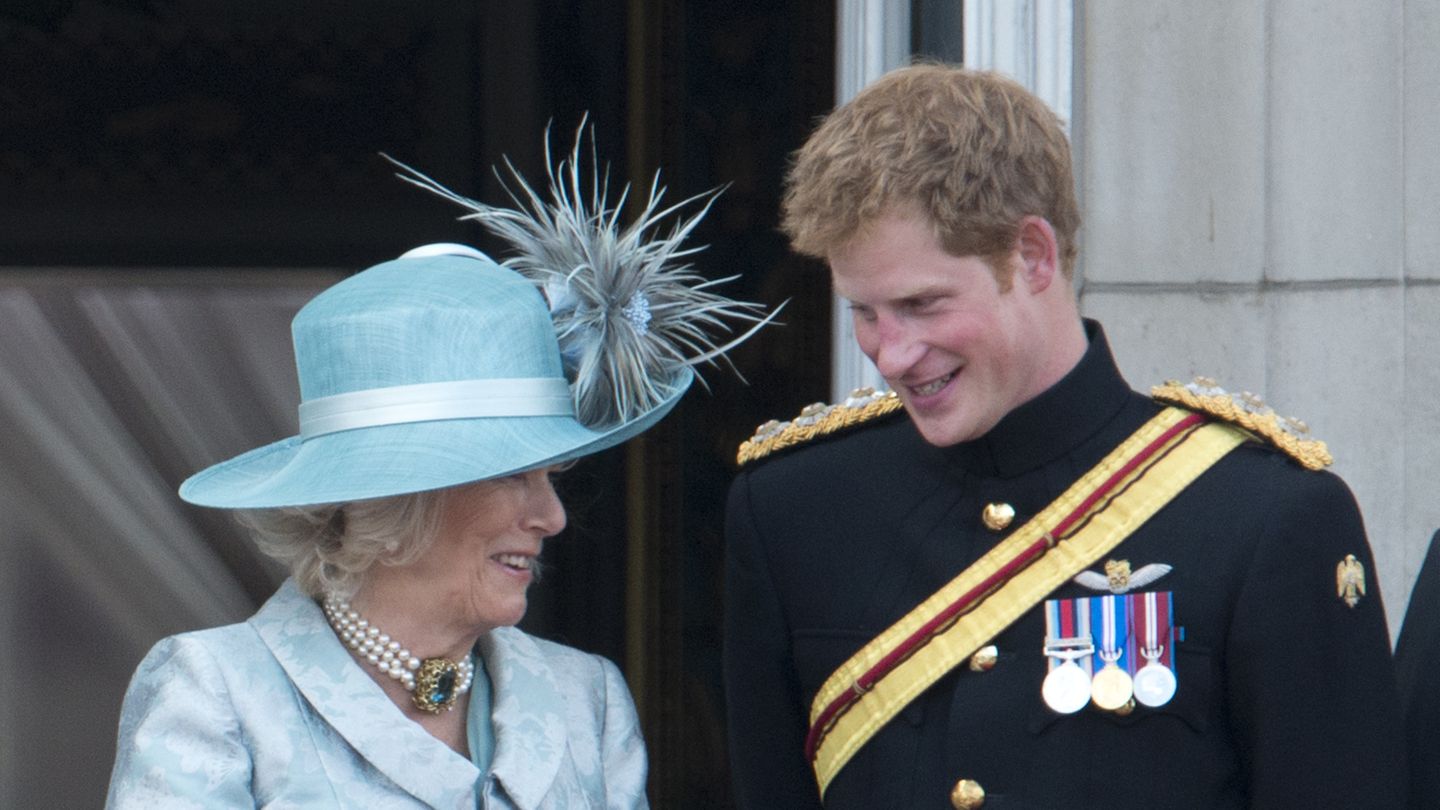 Prinz Harry: "Keine Feindseligkeit" mit Camilla? Ex-Butler teilt private Erinnerungen
