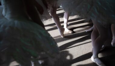 Tanz: Kritiker-Umfrage: Staatsballett Berlin und München glänzen