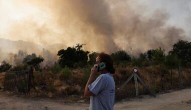 Waldbrände in Europa: Vier Tote durch Waldbrände in Portugal