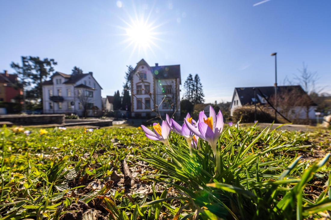 Oberursel ist mit rund 46.000 Einwohnern eine attraktive Stadt im Taunus und beliebter Wohnort im Rhein-Main-Gebiet. Die Brunnenstadt verbindet ländliche Idylle mit urbaner Nähe zu Frankfurt am Main.