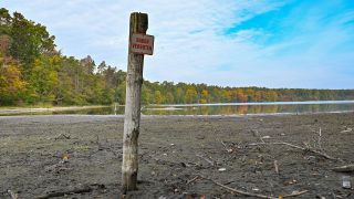 Das Schild Baden verboten steht an der südlichen Spitze des Straussees längst auf dem Trockenen. © picture alliance/dpa | Patrick Pleul