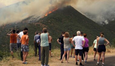 Waldbrände: Eine Million Hektar Land von Waldbränden in EU vernichtet