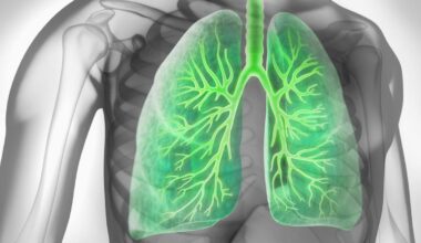 Die wichtigsten globalen Faktoren für Prävalenz und Mortalität von COPD – News – Deutsches Ärzteblatt
