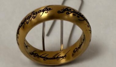 Kurioser Aufruf in Hamburg: Fundbüro sucht den Herrn des Rings | Regional