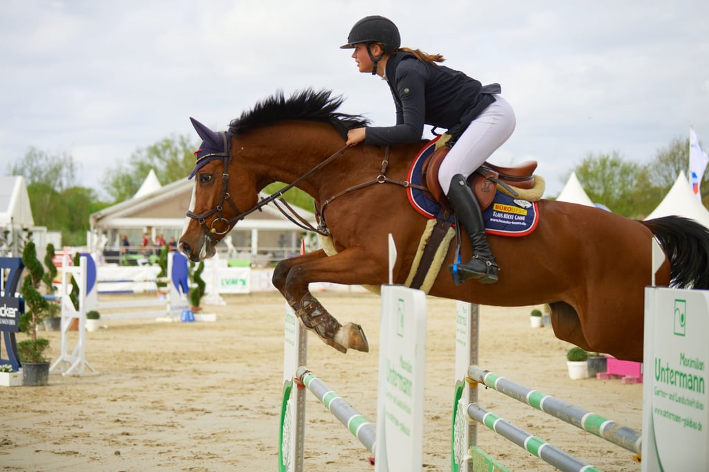 Amelie Tönnissen und Querida buchen Platzierungen in Aachen und in Münster