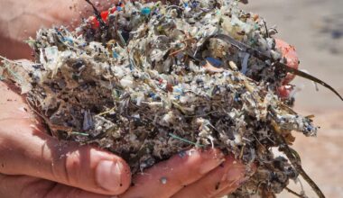 Erfindung aus Hannover: Gel soll Mikroplastik im Meer vernichten | Regional