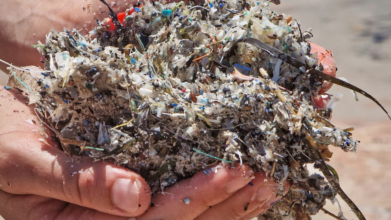 Erfindung aus Hannover: Gel soll Mikroplastik im Meer vernichten | Regional