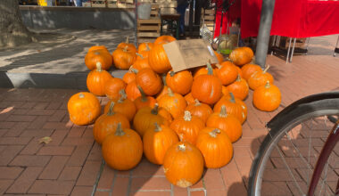 Bunter Herbstauftakt in der Lüner Innenstadt: Herbstmarkt trifft Handwerks-Herbst