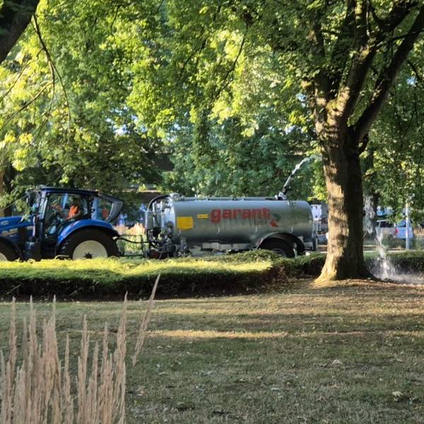 Bäume in Essen bekommen Extra-Wasser