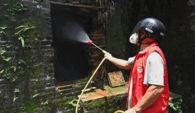 Guangdong in Südchina verzeichnet Rückgang der neuen Chikungunya-Fälle - Xinhua