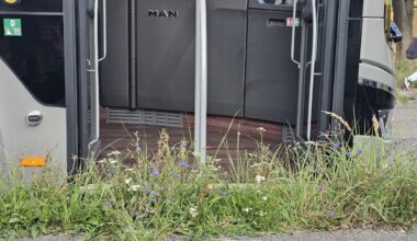 Halles Schüler starten ins neue Schuljahr – doch Haltestelle in der Gellertstraße bleibt verwahrlost – Du bist Halle