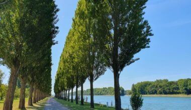 5 Ausflugsziele am Rhein bei Karlsruhe