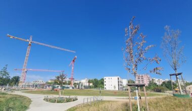 Anwohner des Züricher Parks in Nürnberg beschweren sich über vertrocknete Jungbäume