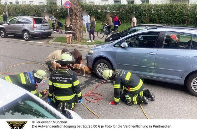 FW-M: Wochenendrückblick der Feuerwehr München für den 22. bis 24. August 2025