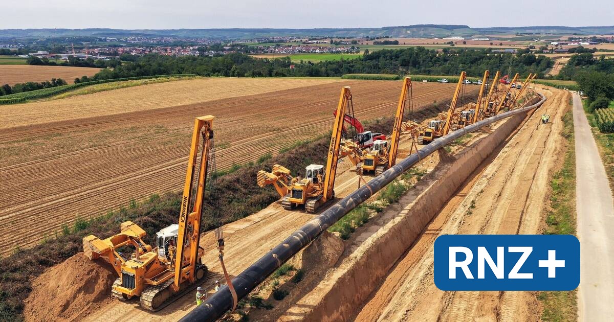 Süddeutsche Erdgasleitung: Terranets schafft jetzt Fakten in der Region - Mannheim und Metropolregion Rhein-Neckar - Nachrichten und Aktuelles