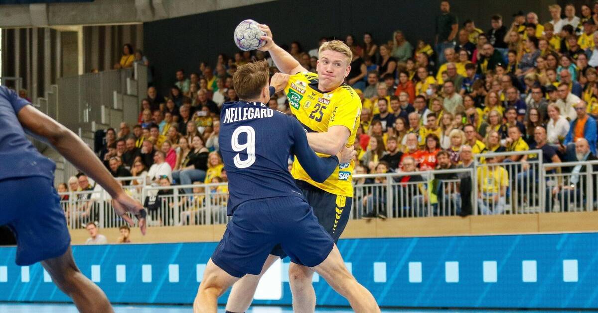 Rhein-Neckar Löwen: Das sind die Erkenntnisse aus dem Paris-Spiel - Sport aus der Region - Nachrichten und Aktuelles