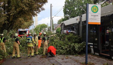 Mannheim: Baum fiel auf Oberleitung - Polizeiberichte aus Rhein-Neckar-Odenwald