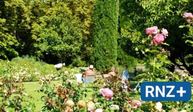 Mannheim: Der Herzogenriedpark ist eine grüne Ruheoase mitten in der Stadt - Mannheim und Metropolregion Rhein-Neckar - Nachrichten und Aktuelles
