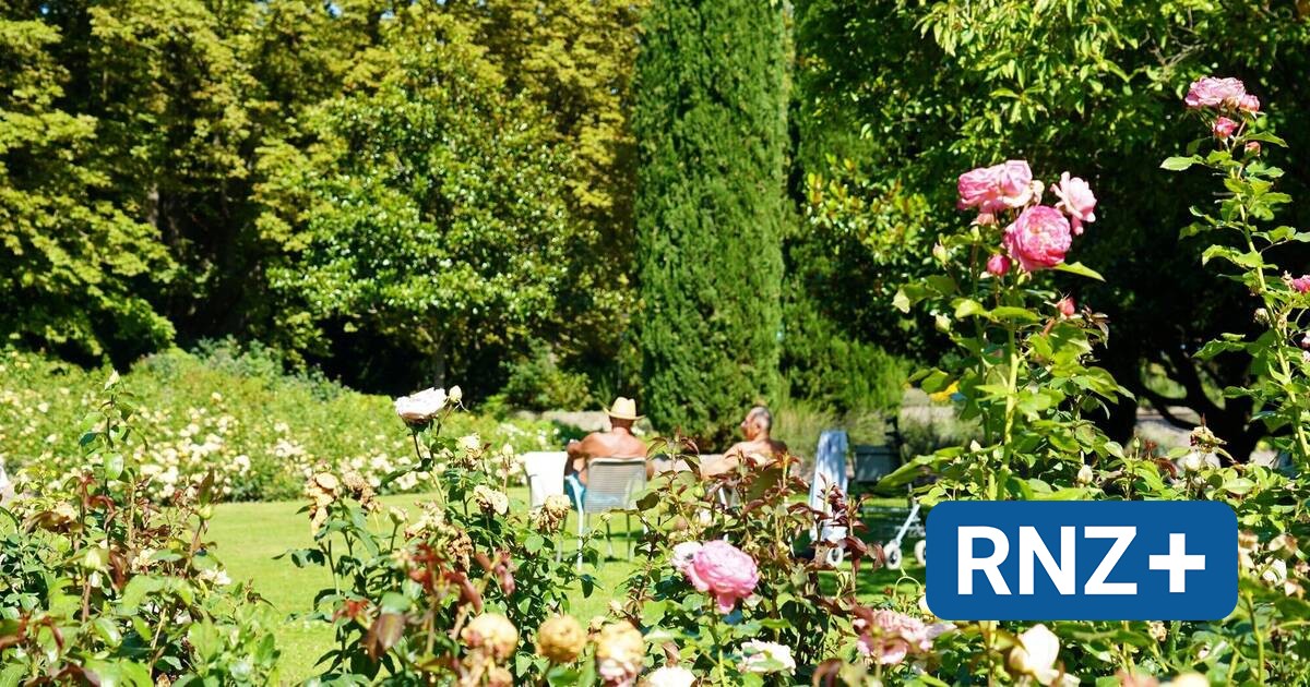 Mannheim: Der Herzogenriedpark ist eine grüne Ruheoase mitten in der Stadt - Mannheim und Metropolregion Rhein-Neckar - Nachrichten und Aktuelles