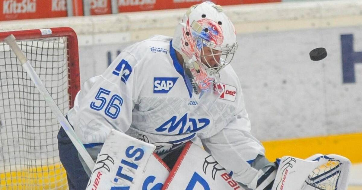 Adler Mannheim gegen HC Davos: Max Penkin trifft beim Debüt - Sport aus der Region - Nachrichten und Aktuelles