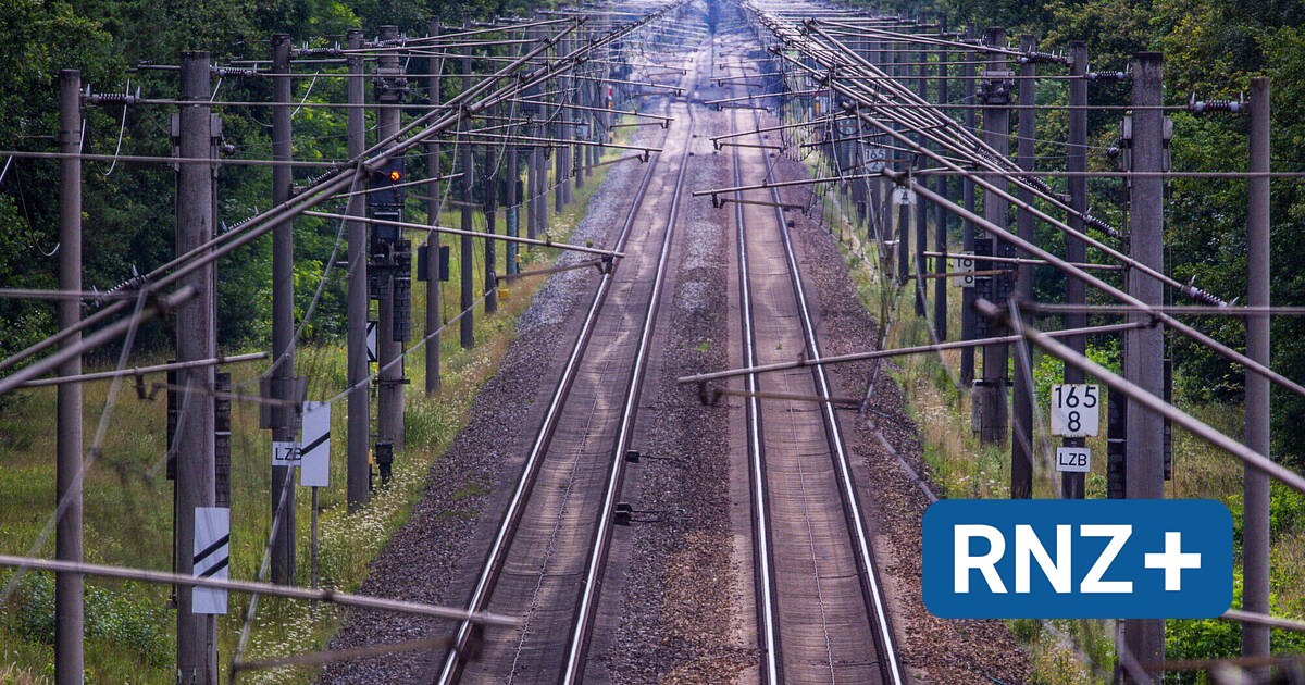 Ludwigshafen/Mannheim: Vollsperrung von Bahnstrecke stößt auf Kritik - Mannheim und Metropolregion Rhein-Neckar - Nachrichten und Aktuelles