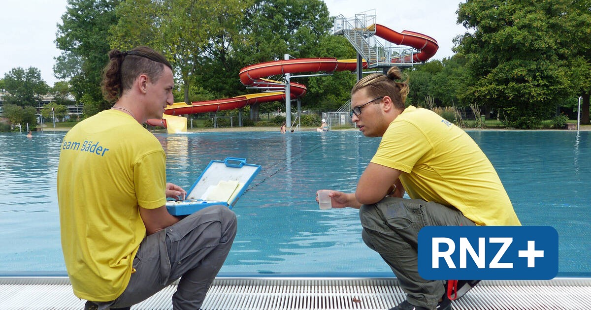 Mannheim: Gespür für Menschen und Technik gefragt - Mannheim und Metropolregion Rhein-Neckar - Nachrichten und Aktuelles