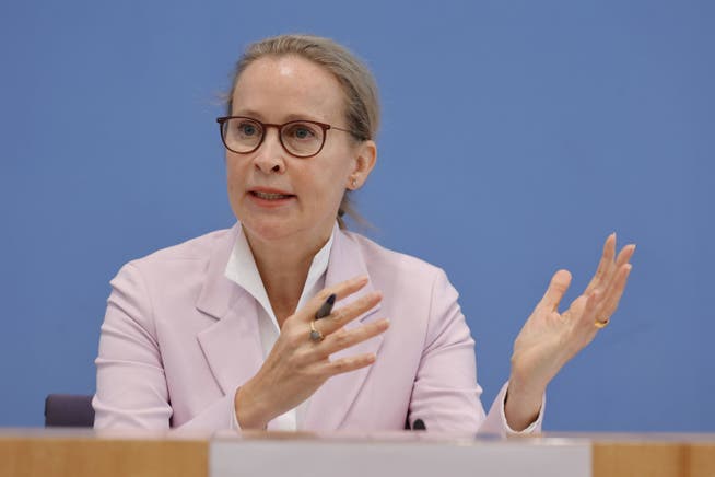Frauke Brosius-Gersdorf an einer Pressekonferenz im Jahr 2024. Dort ging es um eine Reform des Abtreibungsrechts.