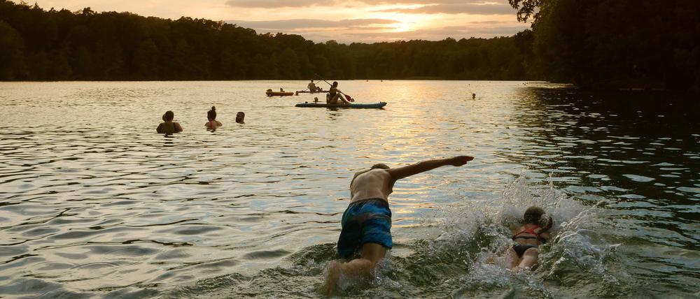 Leute nutzen einen schönen Sommerabend am Schlachtensee zum Baden.