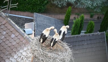 Kirchen sind oft viel lebendiger als gedacht