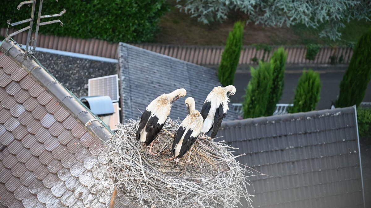 Kirchen sind oft viel lebendiger als gedacht