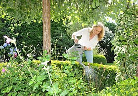 Mein schöner Garten in Steinhagen