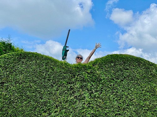 Die Thuja-Hecke braucht einen neuen Schnitt. Für Petra Bach ist die Gartenarbeit nie mit Stress verbunden, sondern immer ein großer Spaß. - © Frank Jasper