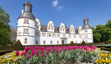 Sommernachtskino im Schlosspark, Kälkenfest und mehr: Das ist am Wochenende in OWL los